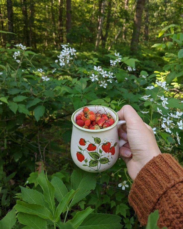 Country Berry Mix: Seasonal Delight Blend